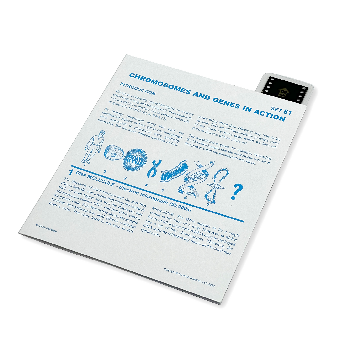 T081 Microslide, Chromosomes & Genes