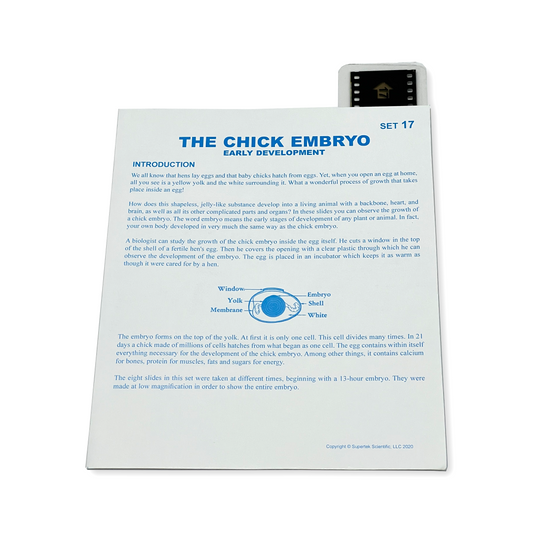 T017 Microslide, Chick Embryo