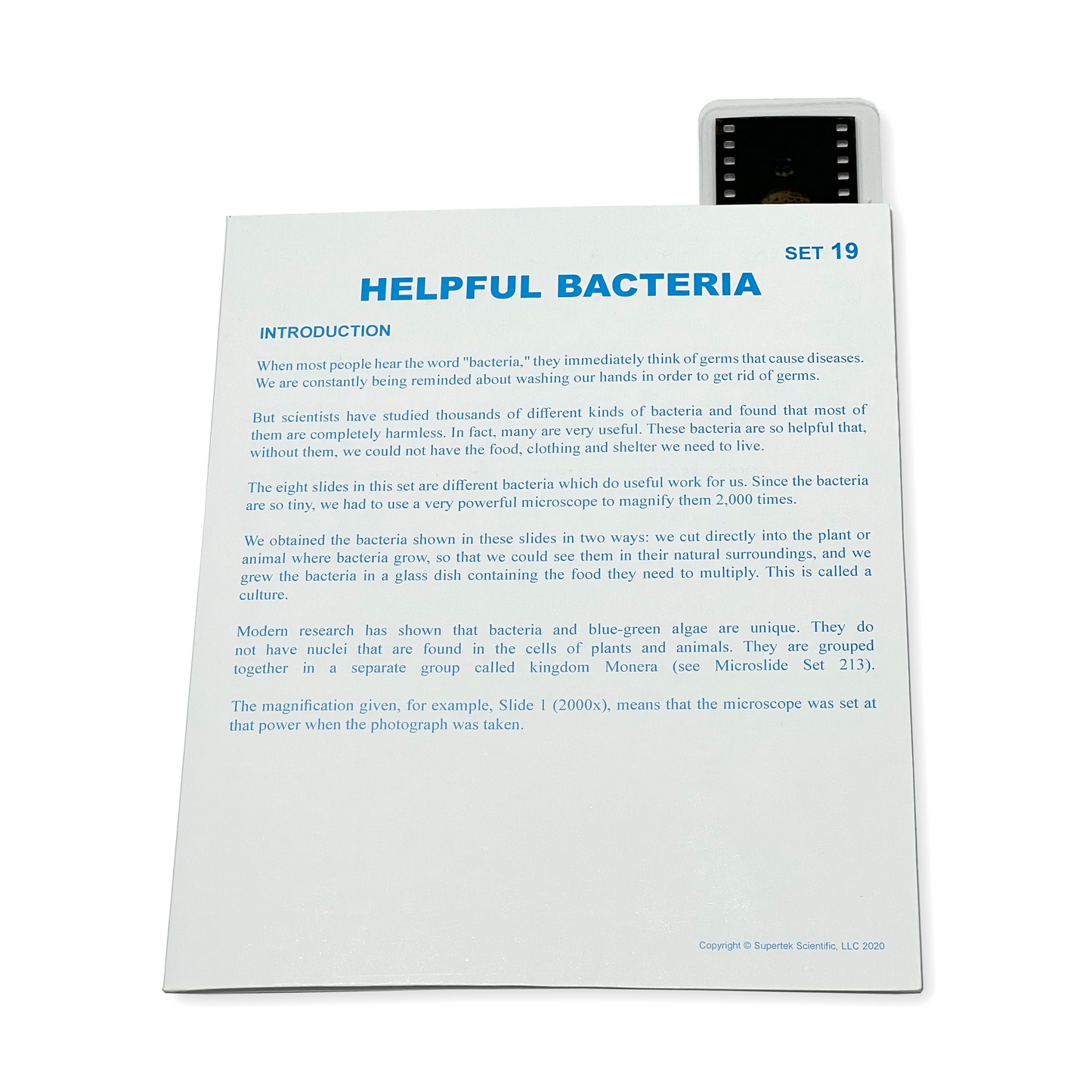 T019 Microslide, Helpful Bacteria
