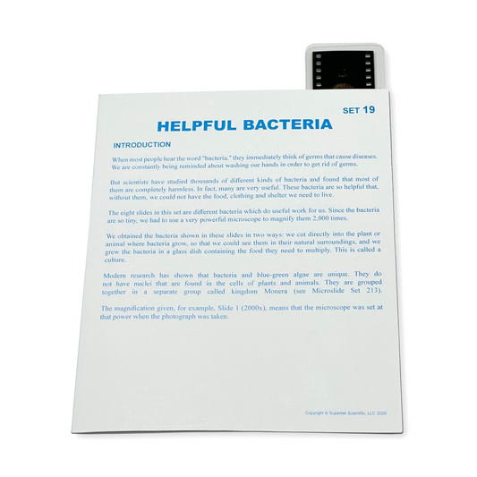 T019 Microslide, Helpful Bacteria