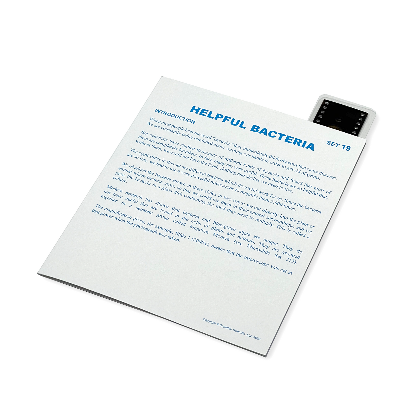 T019 Microslide, Helpful Bacteria