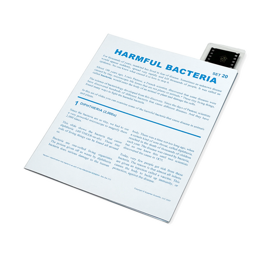 T020 Microslide, Harmful Bacteria