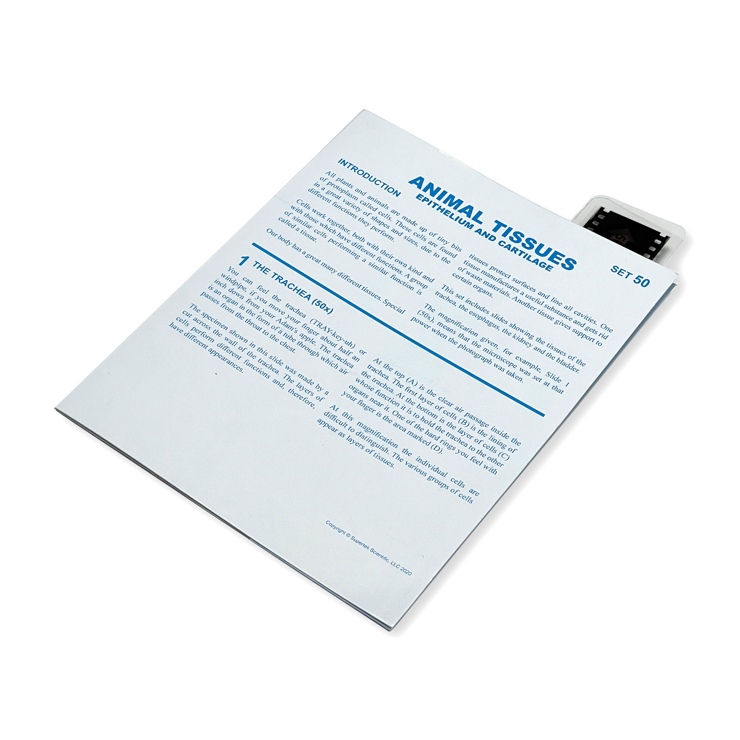 T050 Microslide, Animal Tissues-A