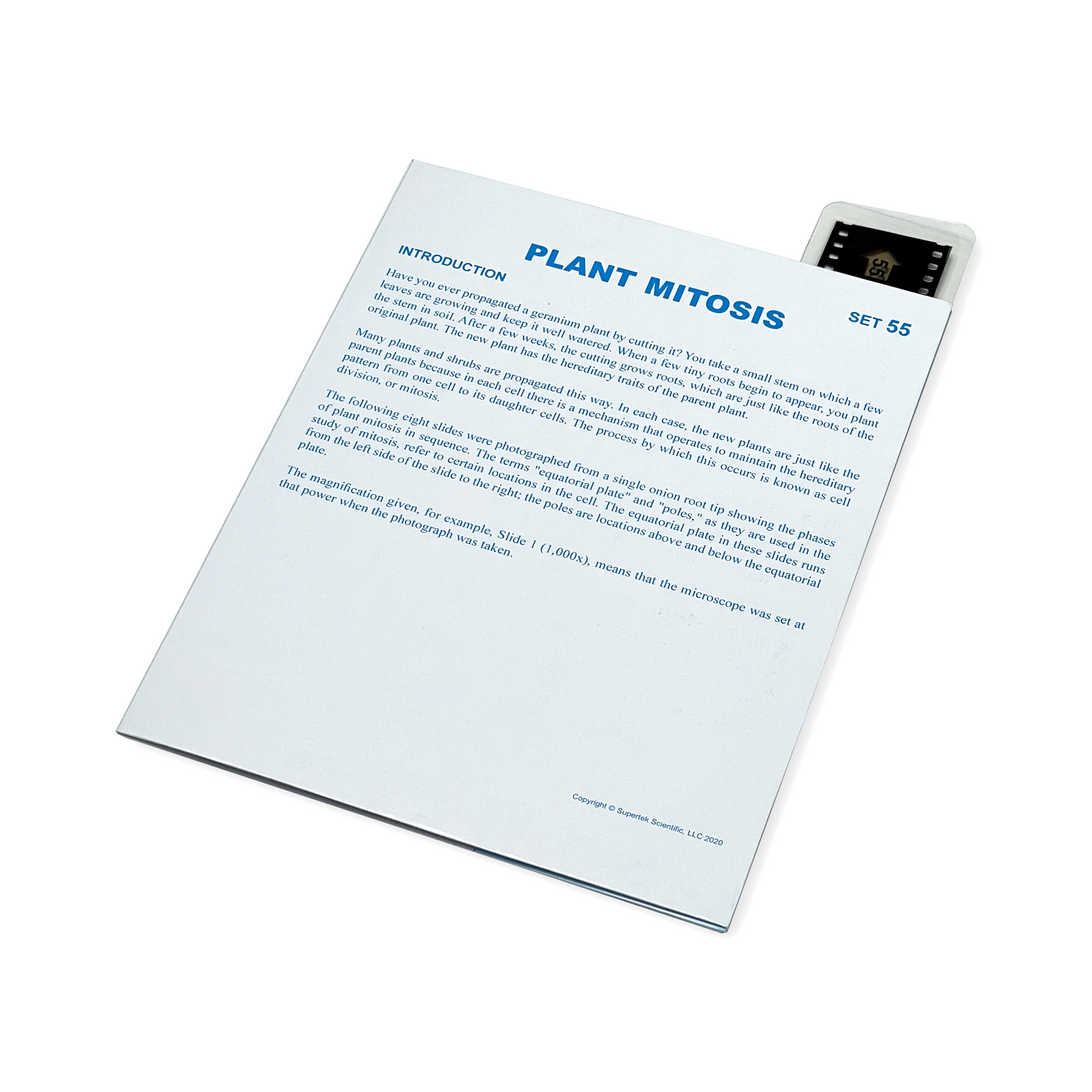 T055 Microslide, Plant Mitosis