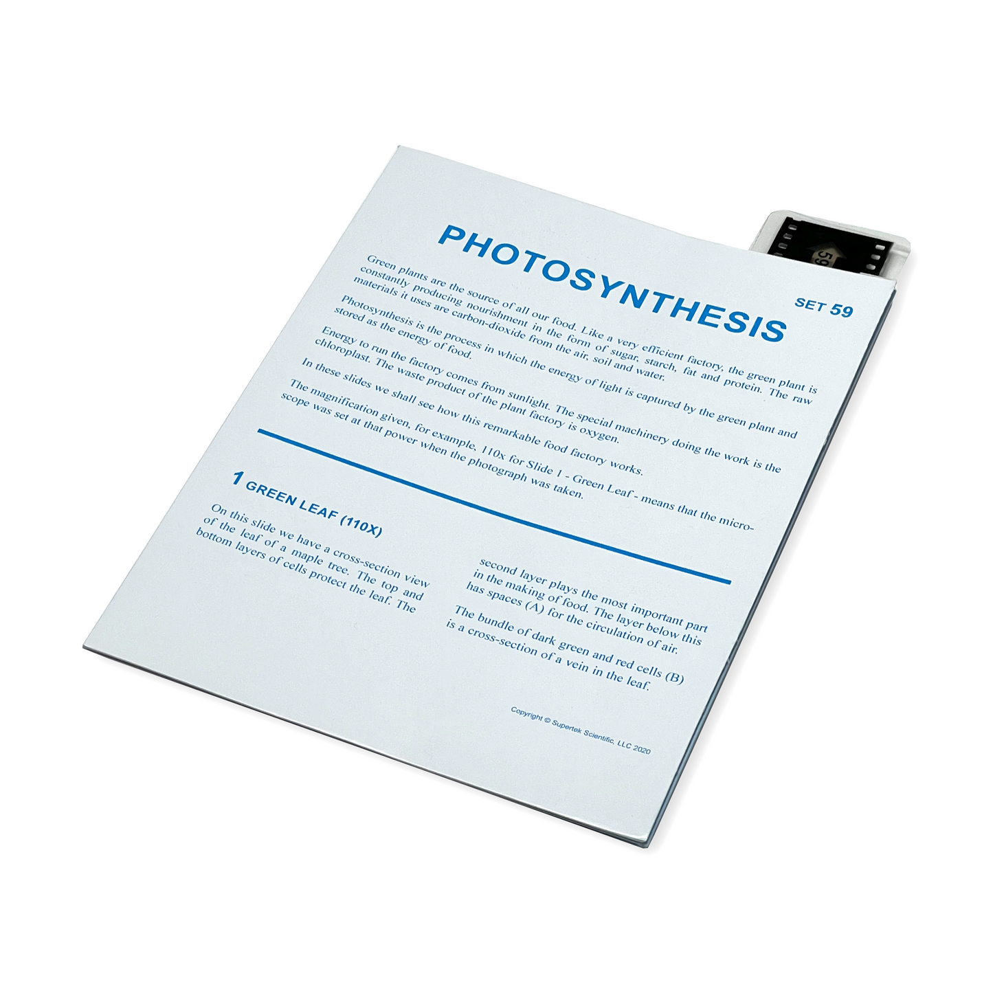 T059 Microslide, Photosynthesis