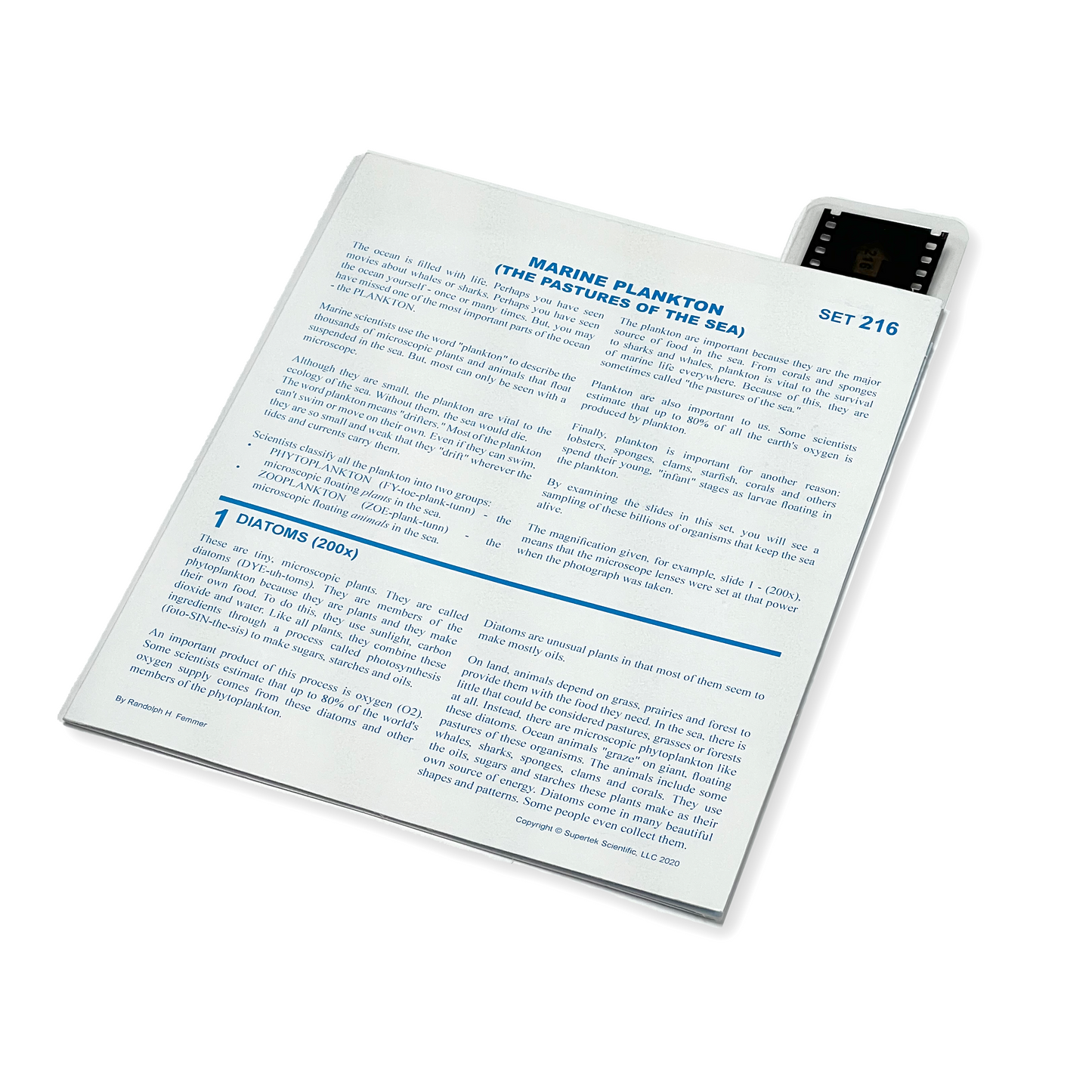 T216 Microslide, Marine Plankton