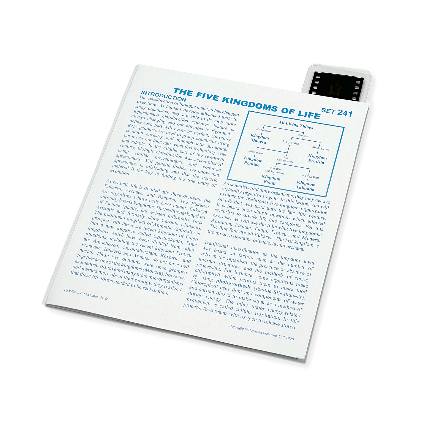 T241 Microslide, The Five Kingdoms