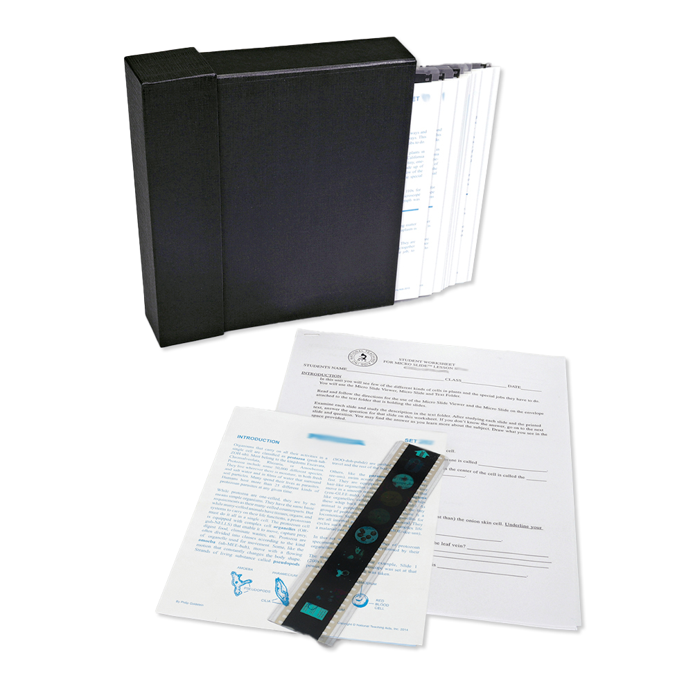T066-15 Microslide, The Ultra Structure of Animal Cell Set of 15  15- Slides w/ ...