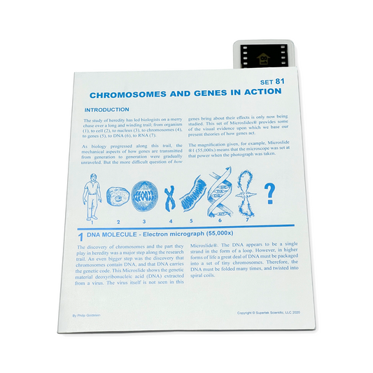 T081 Microslide, Chromosomes & Genes