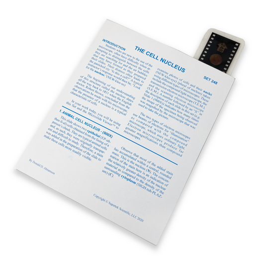 T248 Microslide, Cell Nucleus