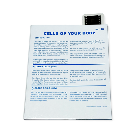 T010 Microslide, Cells of your Body