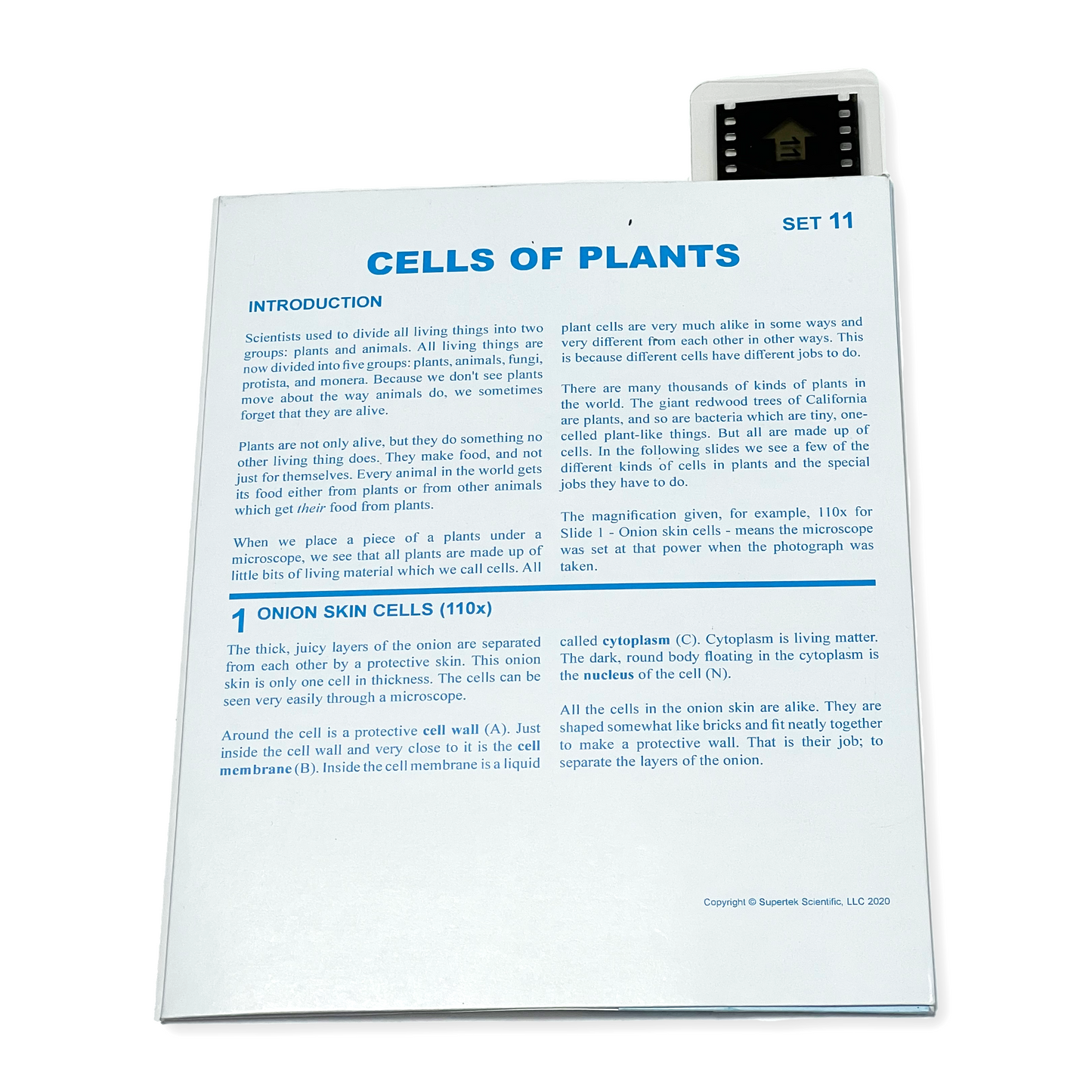T011 Microslide, Cells of Plants