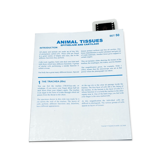 T050 Microslide, Animal Tissues-A