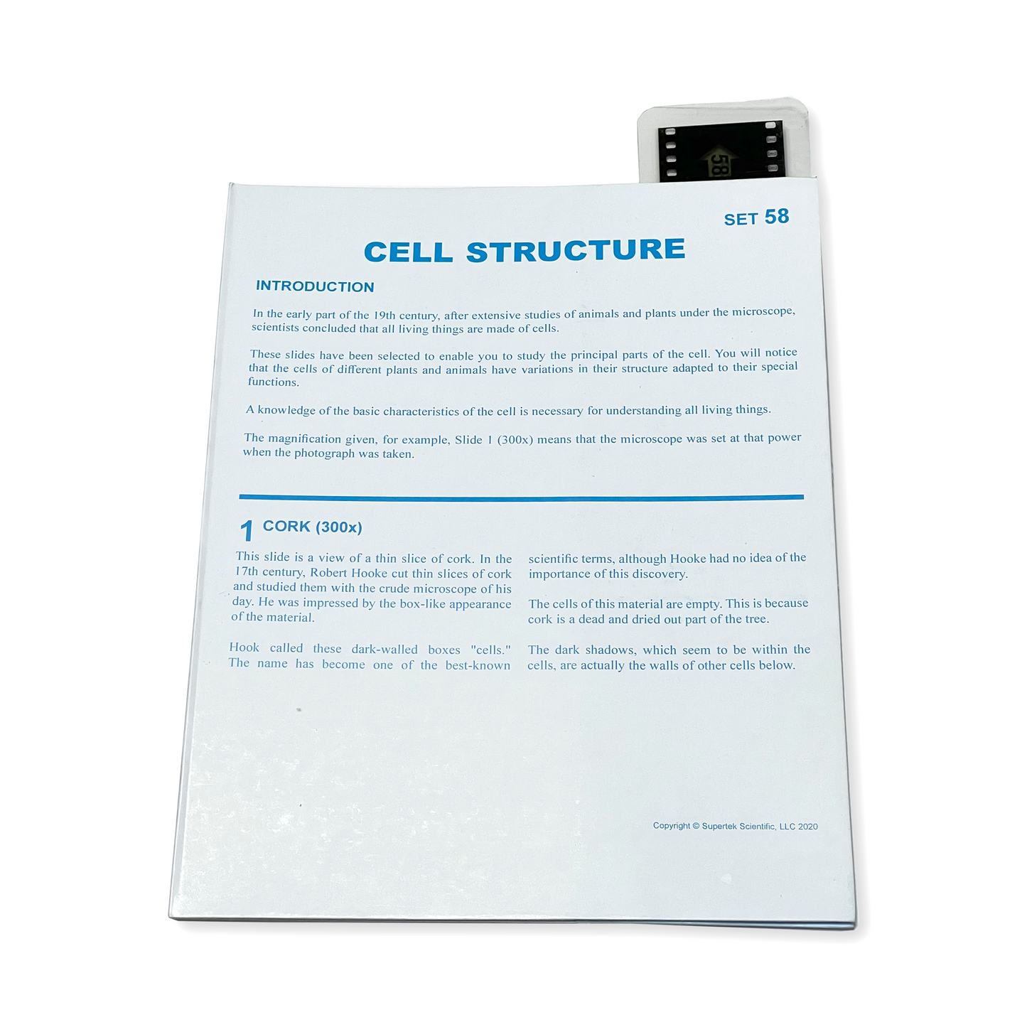 T058 Microslide, Cell Structure