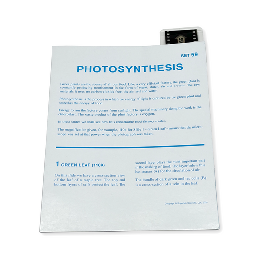 T059 Microslide, Photosynthesis