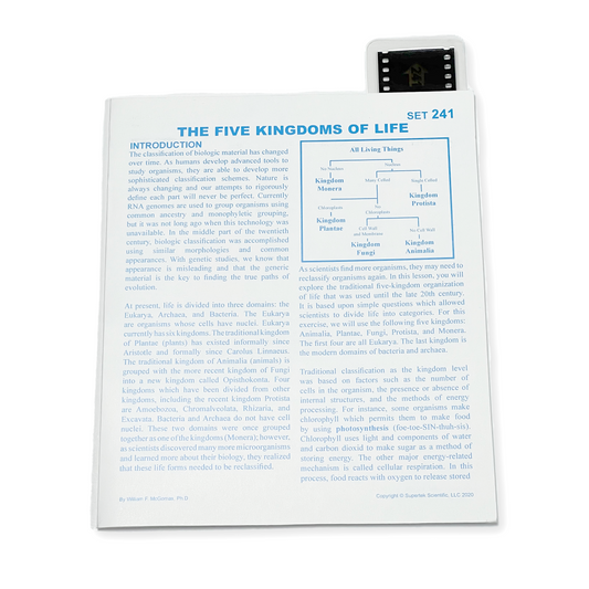 T241 Microslide, The Five Kingdoms